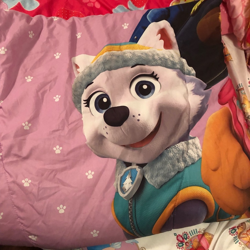 Paw patrol toddler bedding